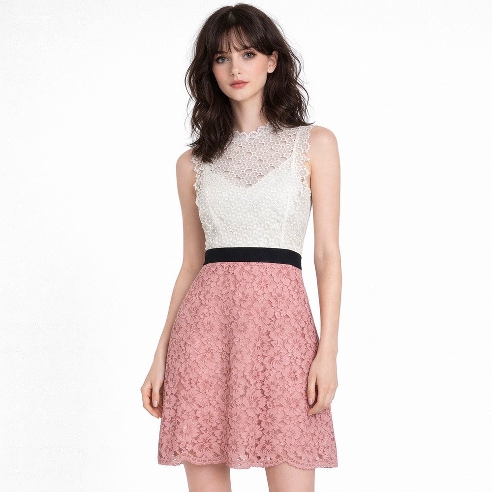 Sandro Paris Gab Floral Lace Pattern Cocktail Dress White Pink Size 36 US 4